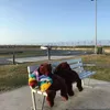 Oso de peluche Djungelskog marrón de 100cm, peluche suave, oso de peluche, cojín, muñeca para niña, almohada suave H1025