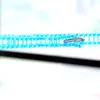 Nouveau coupe-vent 3m / 5m cintres corde extérieure force réglable anti-dérapant corde à linge en nylon durable ligne de lavage EWE6670