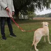 Cachorro Leashes Arnês para Cães Caminhante Cães Double Leash Hands Free Harness Cães Caminhando Multifuncional Chain Chain Acessórios Cinto 210712