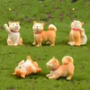 cachorros em miniatura