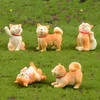 cachorros em miniatura