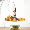 皿プレート透明なガラス板ドライアイス日本料理レストラン寿司アフタヌーンティーデザートホームキッチンテーブルウェア8025176
