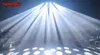 6 pezzi LED da 300 W Movvendo Luci per la testa Spot Wash Wedding Barre Performance Pattern Ruot Light