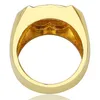 Хип-хоп Медный Золотой Цветовое покрытие Микро Вымощенный полный Циркон Очарование Пальца Золотые кольца Bling Ювелирные Изделия для MenWomen2097