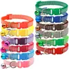 Husdjur Vanliga krage Justerbar 19-32 cm valp Kitten Collars Pet Hospital Ad Gifts