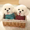 Sevimli simülasyon oyuncak köpek peluş oyuncak karikatür husky çoban altın retriever huahua yumuşak bebek güzel evcil hayvan hediyesi çocuklar için bebek j220729