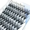 Professionelles Make-up-Cluster, bunte Einzelwimpern, farbige Verpflanzung, falsche Wimpern, Wimpernverlängerung