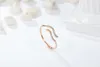 Bangle Design 18K Rose Gold Zodiac Sign Waterman Women Bracelet Fashion 12 Horoscoop JewelryBangle Inte22