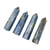 Naturlig Kyanite Hexagonal Crystal Arts Raw Stone Polished Single Pointed Column Home Decoration Desktop Ornamente Healing Crystal Point