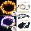 Strings 6pcs10m zilver/koperdraad Warm wit/rood/gele LED -snaarlampen Starry Fairy 12V Power Adapter Remote Geregeld