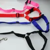 الياقات الكلاب المقودات PET Cat Leash وحزام مقعد السيارة 2 في 1 حبل السلامة الخلفية ثنائية الاستخدام القابل للتعديل