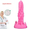 NXY Anal Toys Plug met Suction Cup 2022 Siliconen buttplug enorme dildo seks voor vrouwen mannen gay dilatatie kont 220505