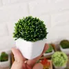 Decorative Flowers & Wreaths Mini Cute Bonsai Potted Green Plants Artificial With Pot Simulation Succulents Table Decoration Home Office Dec