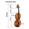 Master Natural Color Bright Violin Tiger Texture Solid Wood Violin Musical Instrument with Packaging Accessories