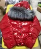 Women Nylon Down Jacket Designer Lady Warm Removable Hooded Snap Button Zip Closure Outwear Fashion Girl Stand Collar Padded Coat