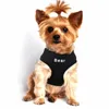 Gilet per gatti in nylon con rete ricamata personalizzata Nome personalizzato per cani di piccola taglia Gatti Bulldog francese 220622