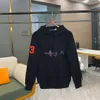 Erkek Polo Hoodies Hourse Nakışlı Sweatshirt Ralphs Polos Kadın Hoodie Üst Düzenli Tasarım Kıyafetleri Laurens