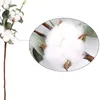 Dekorative Blumenkränze Zoll natürliche getrocknete Baumwollstiele Blume nordischer Stil künstliche Kugeln weiße HochzeitsdekorationDekorativ