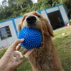 Jouets à mâcher pour animaux de compagnie, 6.5cm, anneau circulaire d'épine pour grands chiens, entraînement amusant, jouets à mâcher pour petits chiens, son interactif et Durable