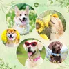 Collare per cani in nylon personalizzato Collana con cucciolo stampato floreale Collari con targhetta identificativa per animali domestici personalizzati per cani di piccola taglia Chihuahua 220621