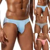 Sous-pants 2022 Sexy Men Underwear Brief