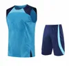 2023 VEST trainingspak kits shorts voetbalshirts BenzEMA MBAPPE IBRAHIMOVIC HAZARD CHICHARITO LAUTARO DELE GRIEZMANN RAMOS voetbal payet MILIK PAYET