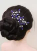 blue hair pin