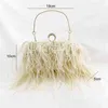 Evening Bags Money Clutch Ostrich Hair Evening Clutch Bags Celebrity Fur Hand Held Banquet Party Pink Bag Pearl Chain Woman Handbag 220328