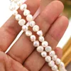 Ashiqi Natural Freshwater Pearl Choker Halsband Barock smycken för kvinnor Bröllop 925 Silverlås grossist 2022 Trend