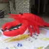 Door to Door Cute Inflatable Lobster Animal Model With Fan For Advertising/ Party/Show Decoration Made By Ace Air Art