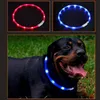 Hundhalsar Leashes Pet Collar LED USB uppladdningsbar justerbar Resizable Silicone Luminous For Cat Night träning Accessories Dog