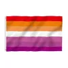 Drapeau gay DHL 90x150cm arc-en-ciel choses fierté bisexuelle lesbienne pansexuelle LGBT accessoires drapeaux Fast UPS