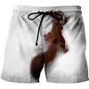 Wuiliy Animal Graphic Shorts De Plage Pour Hommes Motif 3D Écureuil Boardshorts Hommes / Femmes Pantalon Court Mignon Pet Bas Belle 220425