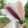 Artificial Pampas Grass Bouquet New Year Holiday Wedding Party Home Decoration Plant Simulation Dried Flower Reed