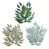 50 sztuk Sztuczne liście Willows Fake Flower Leaf Wesele Scena Układ DIY Home Decoration Rośliny Materiały ścienne Kwiatowy