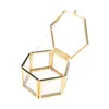 Jewelry Pouches Bags Geometrical Clear Glass Box Storage Organize Holder Tabletop Succulent Plants Container Home StorageJewelry