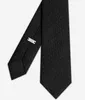 Nathtie Mens Designer Neck Tie Suit Slippies Luxury Business Men Silk Ties Party Wedding Neckwear Cravate Cravattino Krawatte Choker