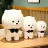 2022 NOWOŚĆ TWOCOLOR CUTE BICHON Plush Doll Symulacja pluszowa psa przytulona poduszka dziewczyna prezent urodzinowy J220729