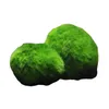 23cm Marimo Moss Balls Live Rium Plant Alger Fish Shrimp Tank Ornament Green Rium Ornamental ForRound Gräs 2207137815982