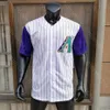 Randy Johnson Jersey 2001 WS Pensioen hall of fame patch 1999 Turn Back Pinstripe Green Navy White Cream Pinstripe Fans Vintage Maat S-3XL