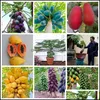 Other Garden Supplies Patio Lawn Home 20Pcs Papaya Fruit Tree The Germination Rate 95% Flower Fresh Seeds For Patio Bonsai Plants Organic