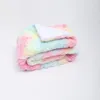 Blankets Thickened Double-layer Lamb Wool Blanket Imitation Fur Plush Nap BlanketBlankets