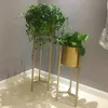 Nordic Modern Home Decor Golden Flower Pot Rack Metal Floor Type Shelf For Indoor Living Room Ornament Party Wedding Decoration