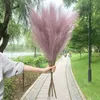 Artificial Pampas Grass Bouquet New Year Holiday Wedding Party Home Decoration Plant Simulation Dried Flower Reed