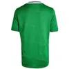 Nationaal Team Northern Ireland Soccer 8 Steven Davis Jerseys 17 Paddy McNair 21 Josh Magennis 7 Niall McGinn 20 Craig Cathcart 18 Gavin Whyte voetbalshirtpakketten Men