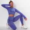 Frauen Nahtlose Yoga Set Fitness Sport Anzüge GYM Tuch Yoga Langarm Shirts Hohe Taille Laufen Leggings Workout Hosen Bh 220513