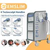 emslim pelvic floor em 지방 제거 고주파 테슬라 Hi-Ems 전자기 근육 자극 장치 462