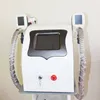 Kriyoterapi Makinesi 3 kriyo, kriyolipoliz yağ donma sistemi soğutma teknolojisi kilo kaybı çift çeneyi kaldır