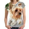 T-shirt maschile Fashion adorabile animale per cani animali 3d uomini/donne t-shirt estate o scollo corto a maniche di grandi dimensioni uomini uomini colpi tops tee xxs-