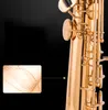 Straight Soprano Sax Saxophone Naiputesi NT-802 B Flat Full Body Silver Plating High Quality Woodwind Instrument med munstycke